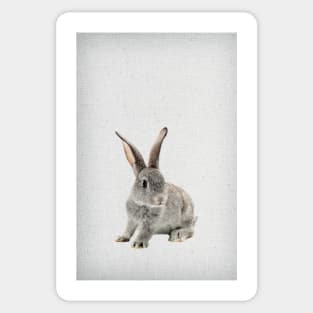 Rabbit 26 Sticker